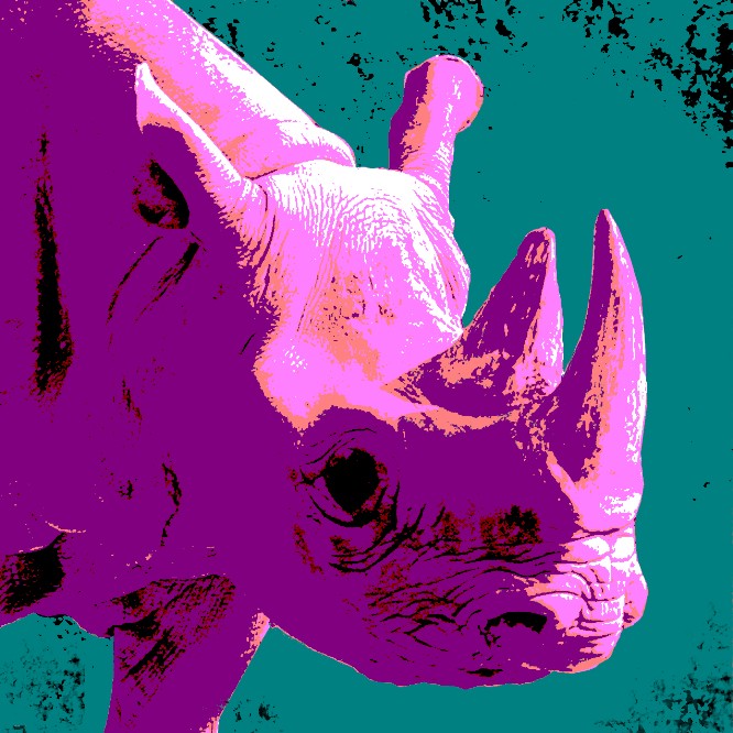Rhinopop popart photographie copyrigt thomas pfister savoir-voir.com switzerland